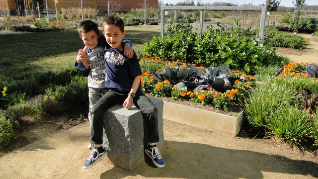 Children in a community garden